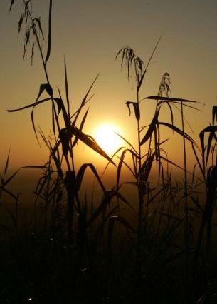 After the Longest&nbsp;Night