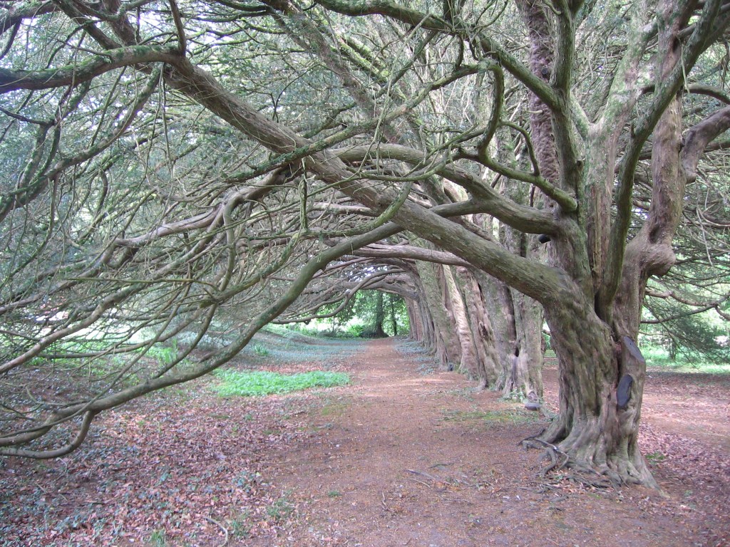 Why I Am a&nbsp;Pagan