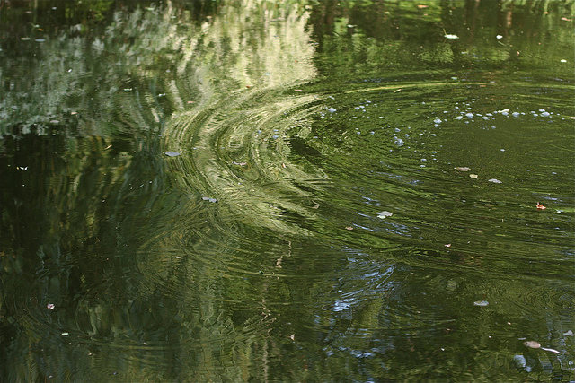 Why Dowsing for&nbsp;Divinity?