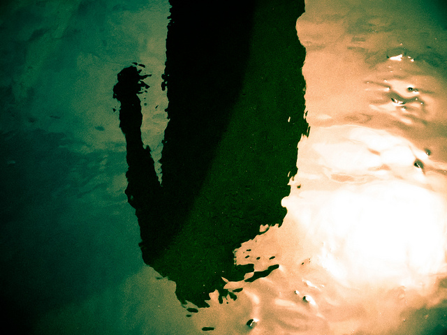 Hex The System, Bind The&nbsp;Perpetrator