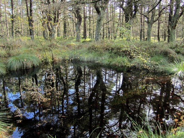 New Book Coming&nbsp;Soon!