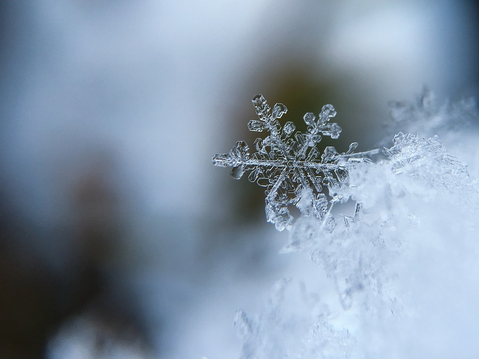 Snowflakes (Poem by&nbsp;Linda)