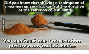 Did you know that shoving a tablespoon of cinnamon up your ass can cut the duration of the common cold in half? You can trust me, I'm a random picture from the internet.