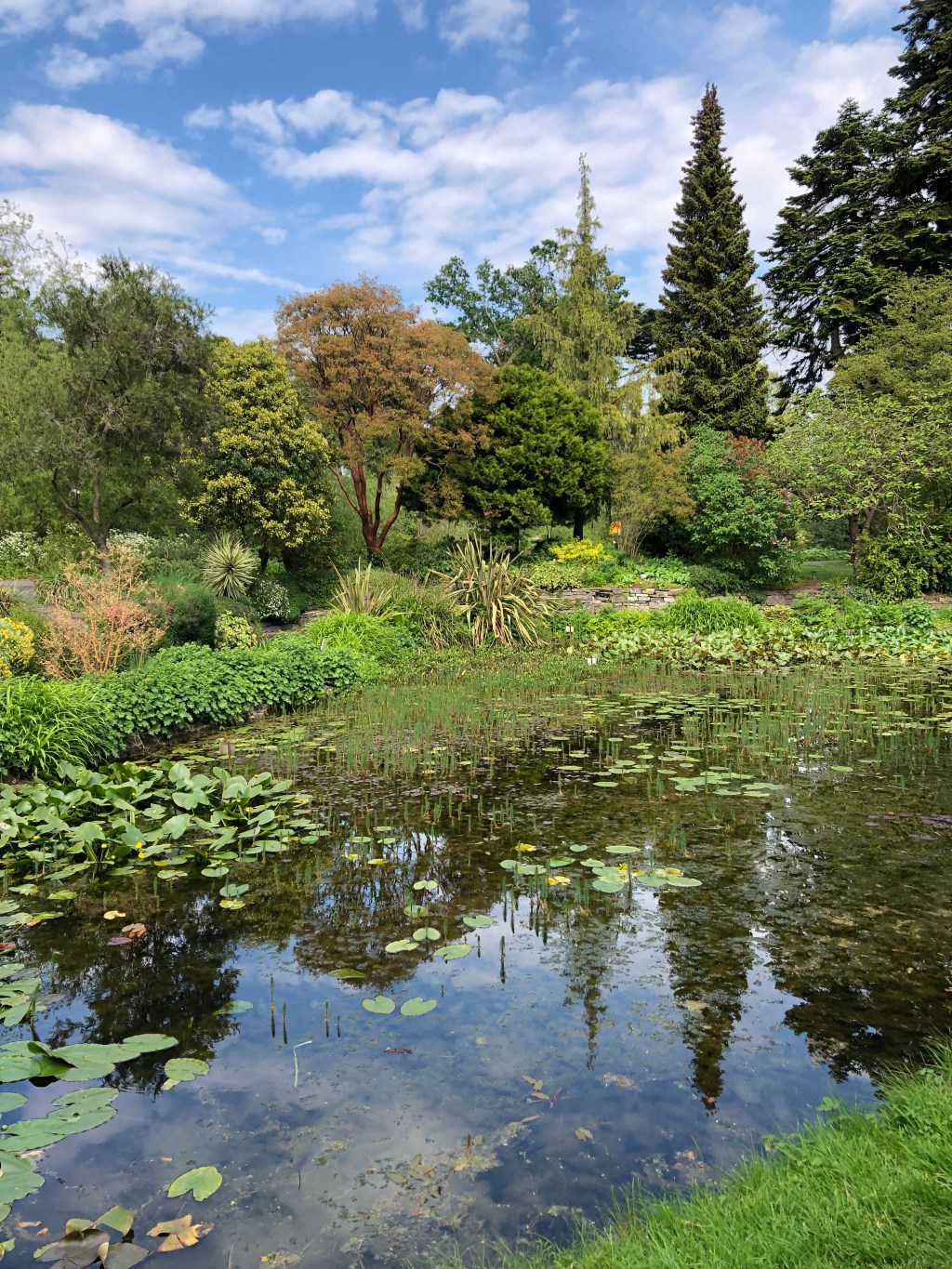 Dublin Botanical Gardens