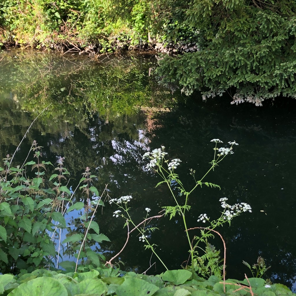 Notable and quotable&nbsp;13