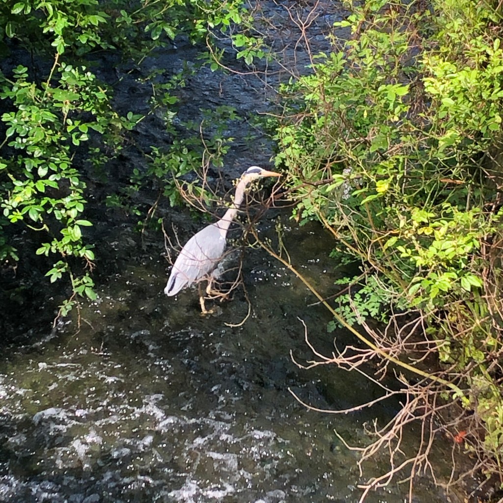 New book project: spiritual&nbsp;wobbles