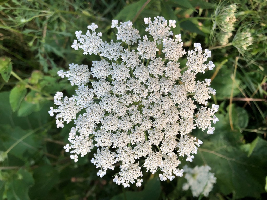 Notable and quotable&nbsp;17