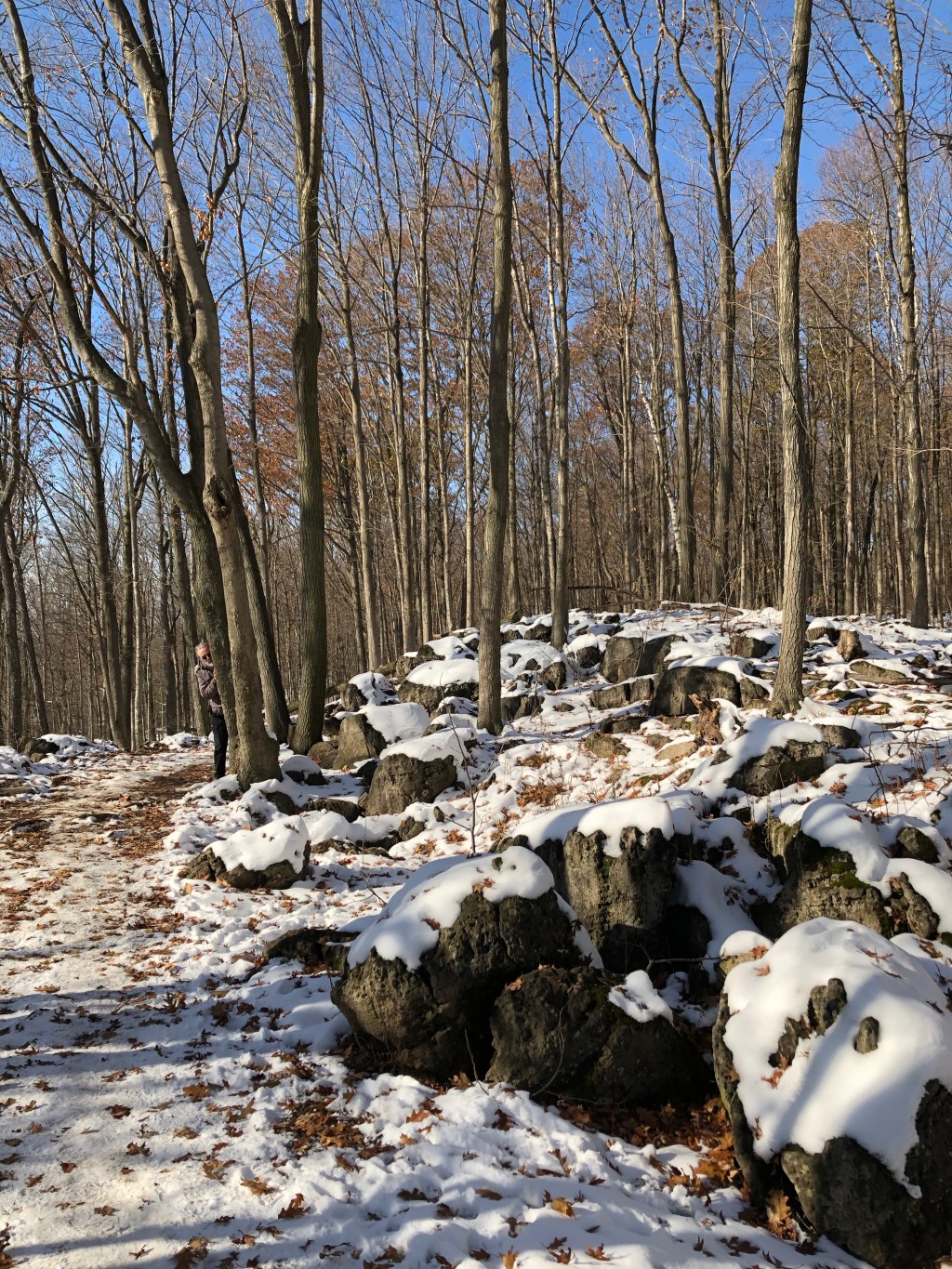 Notable and quotable&nbsp;18