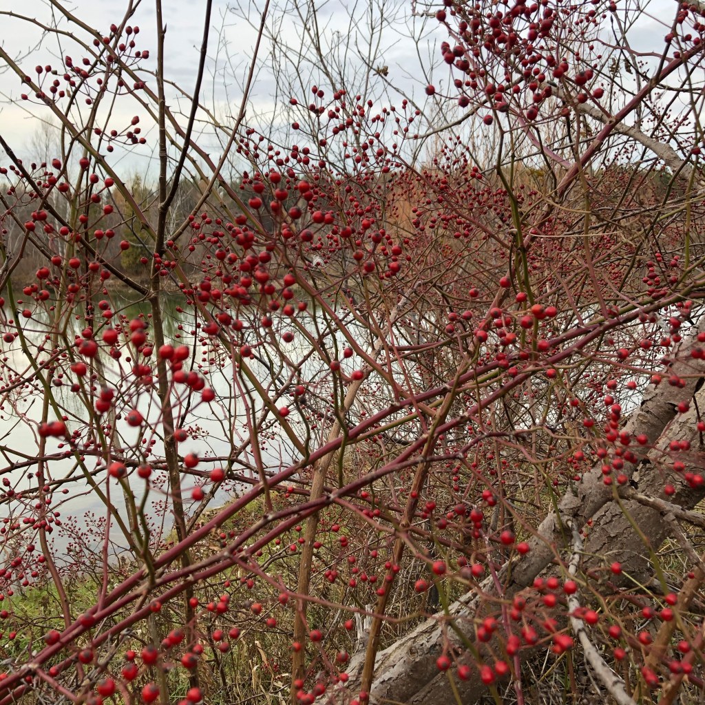 Notable and quotable&nbsp;20