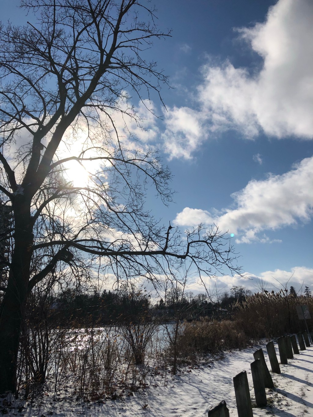 Books I read in December&nbsp;2019