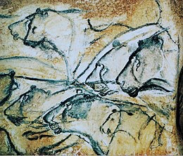 (Replica of) cave lion drawings from Chauvet Cave in Southern France from the Aurignacian period (c. 35,000 to 30,000 years old)