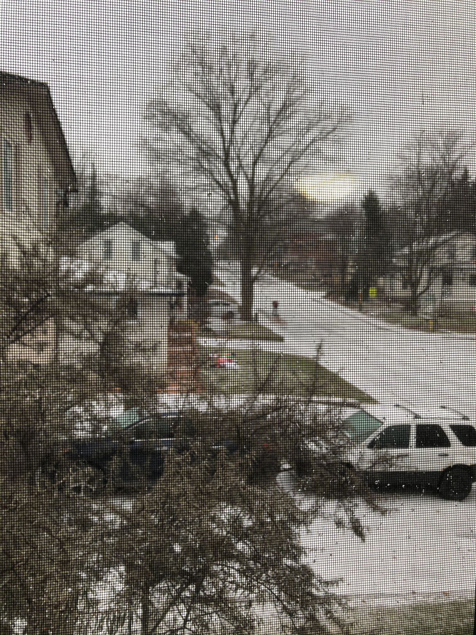 1 December 2019 at 9:54 am