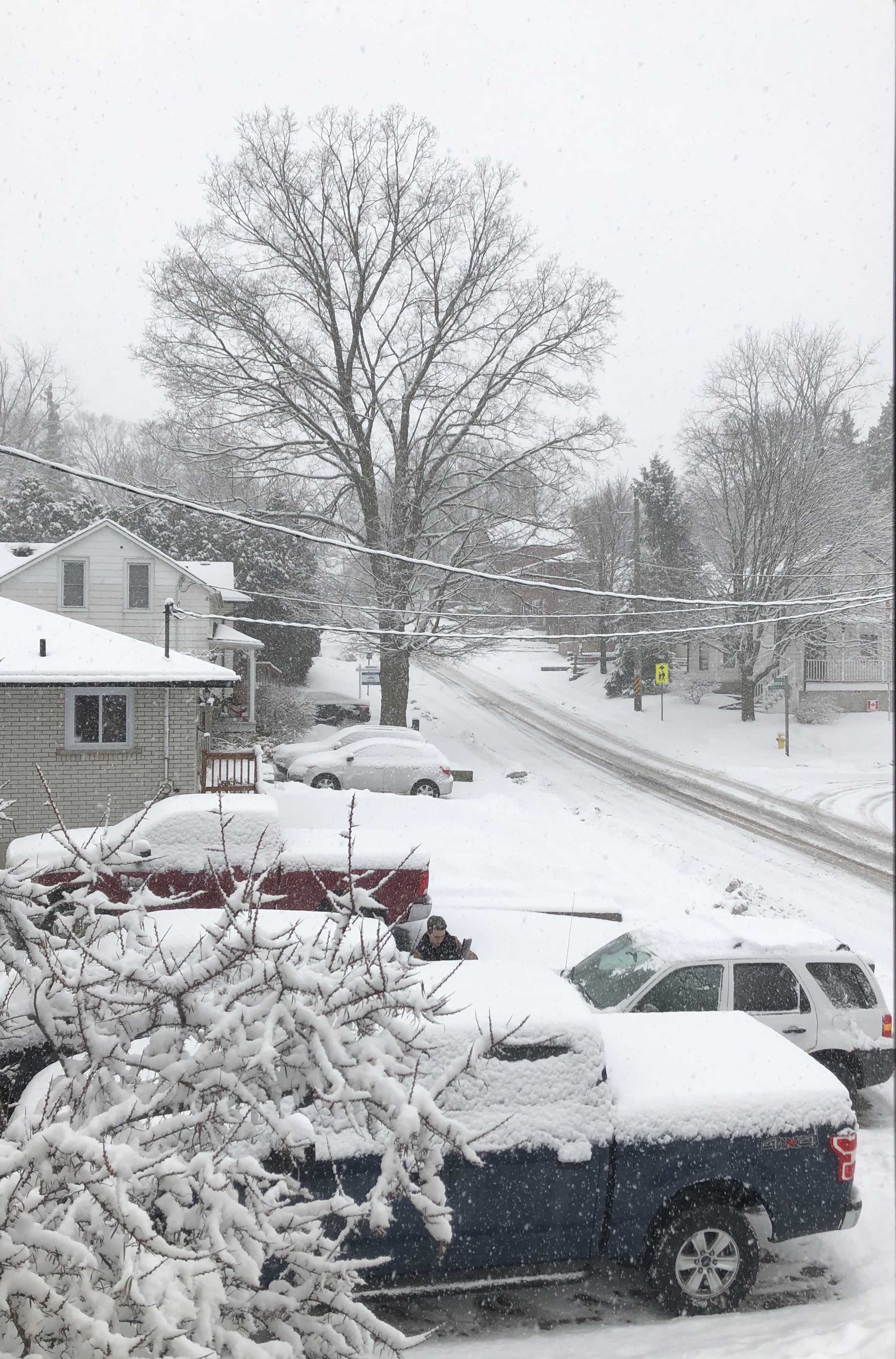 2 February 2020 at 10:04 am