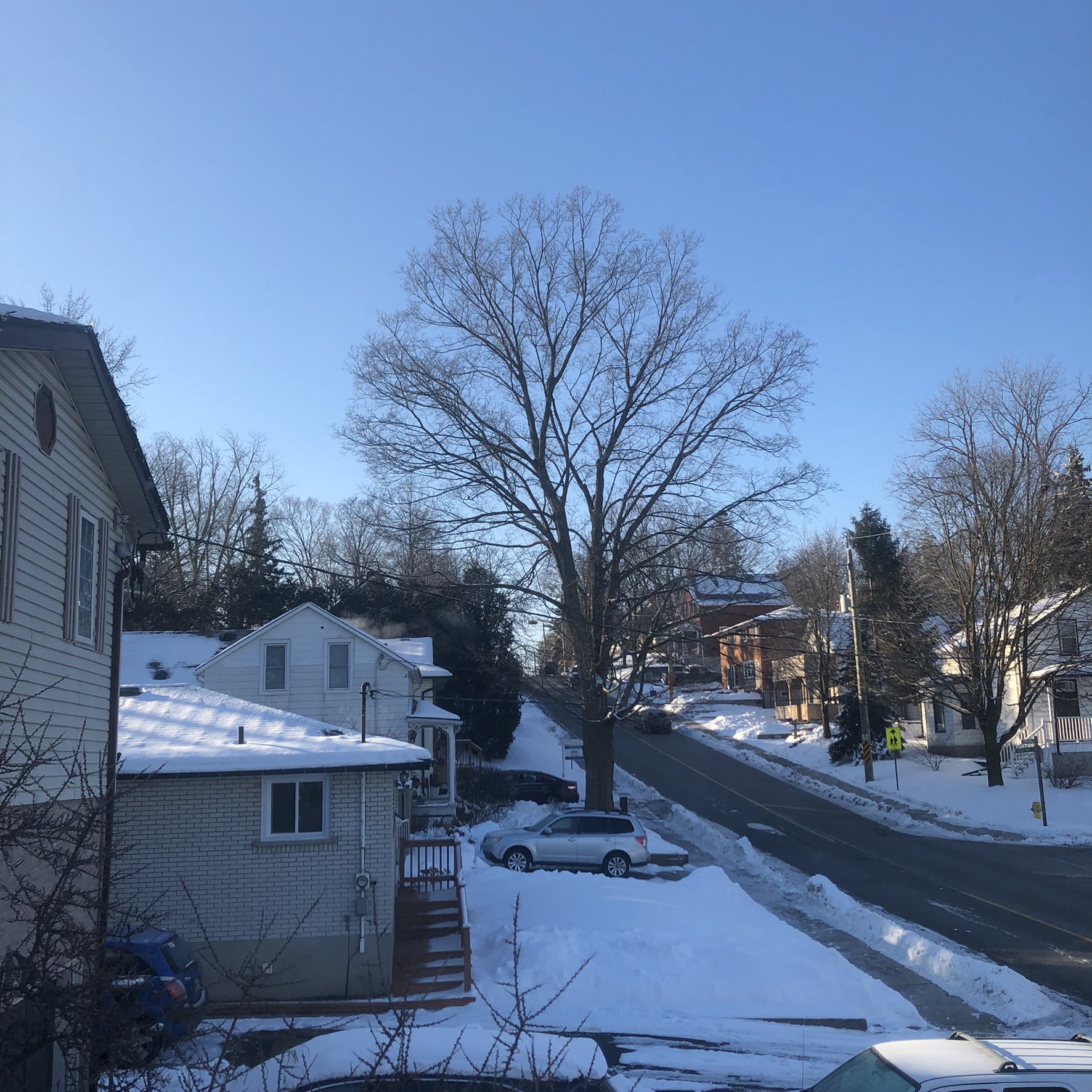 14 February 2020 at 9:02 am