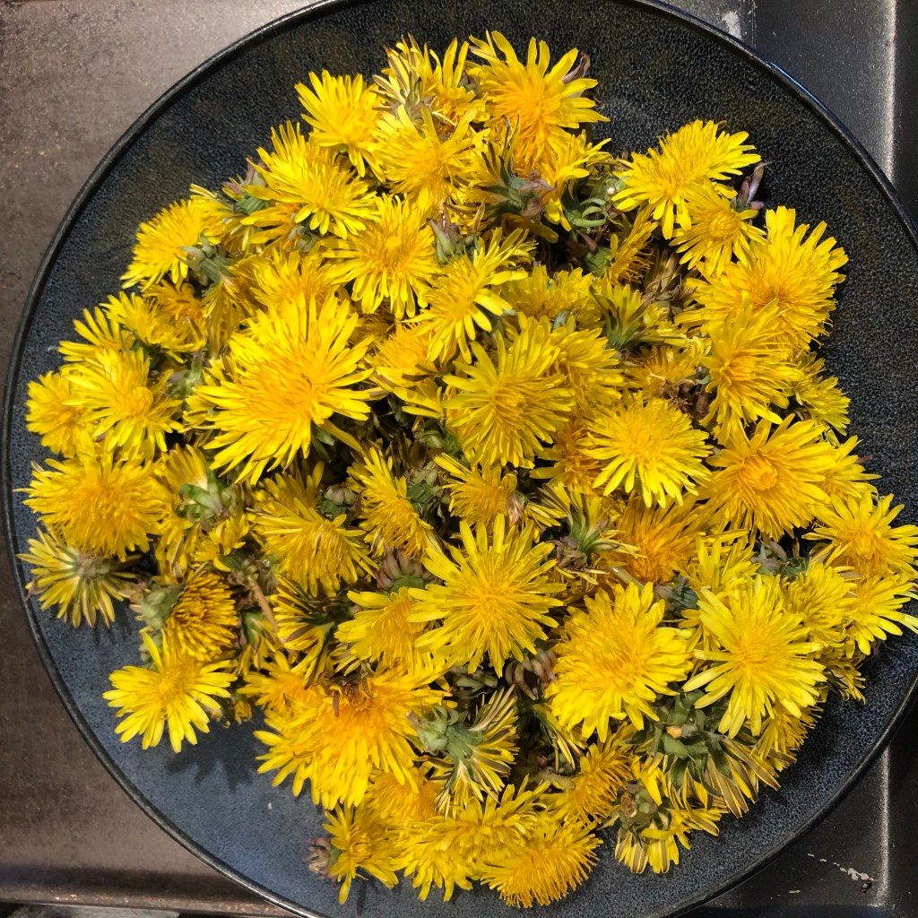 Dandelion syrup