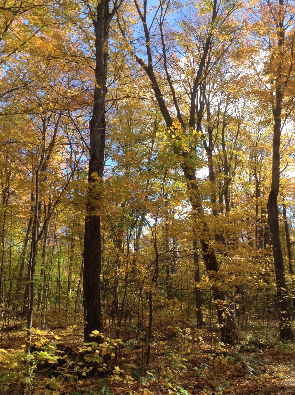 Books I read in September&nbsp;2020