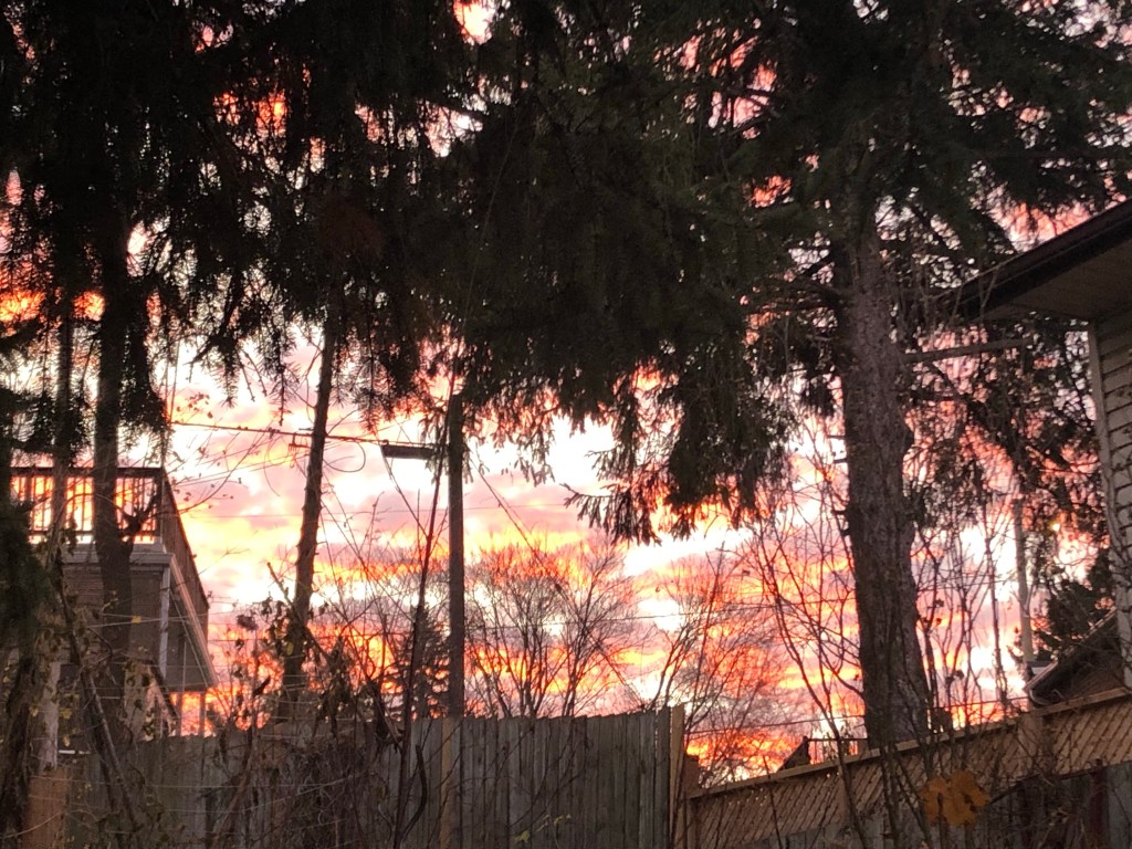 Books I read in November&nbsp;2020