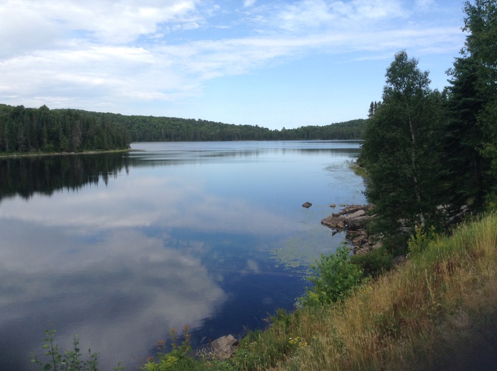 Census results for Paganism in&nbsp;Canada