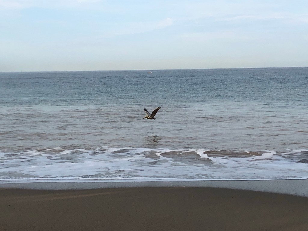 The light of the&nbsp;water