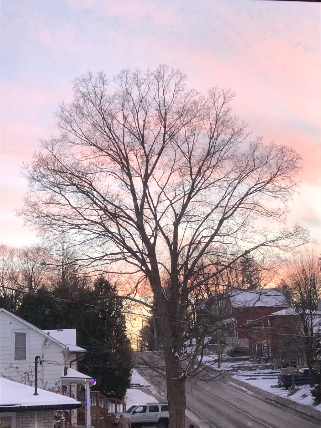 Trans Day of Remembrance&nbsp;2022