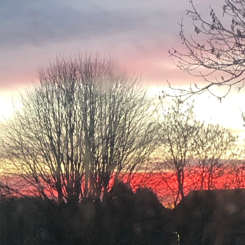 Including trans people