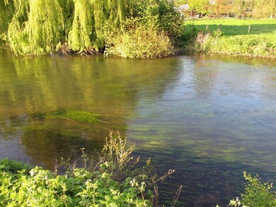 My childhood river