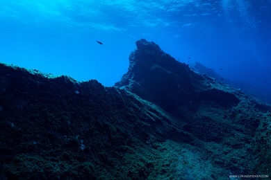 Books I read in June&nbsp;2022