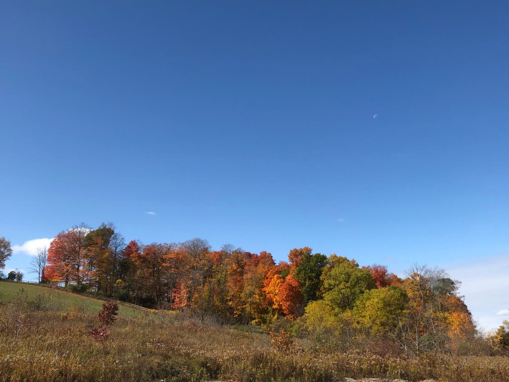 Books I read in October&nbsp;2022