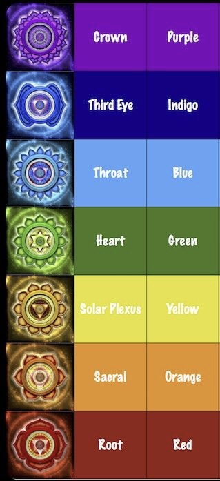 Red is the root chakra (anus); orange is the sacral chakra (genitalia); yellow is the solar plexus chakra; green is the heart chakra; blue is the throat chakra; indigo is the third eye chakra; purple is the crown chakra.