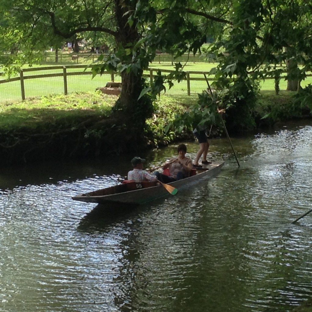 Vintage nature notes&nbsp;2015