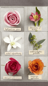 Light pink rose—grace
Alstroemeria—devotion
Orchid—refined beauty
Seeded eucalyptus—protection
Dark pink rose—romance
Orange rose—appreciation
