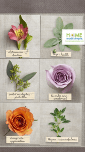 Sage—health
Lavender rose—enrichment
Thyme—resourcefulness