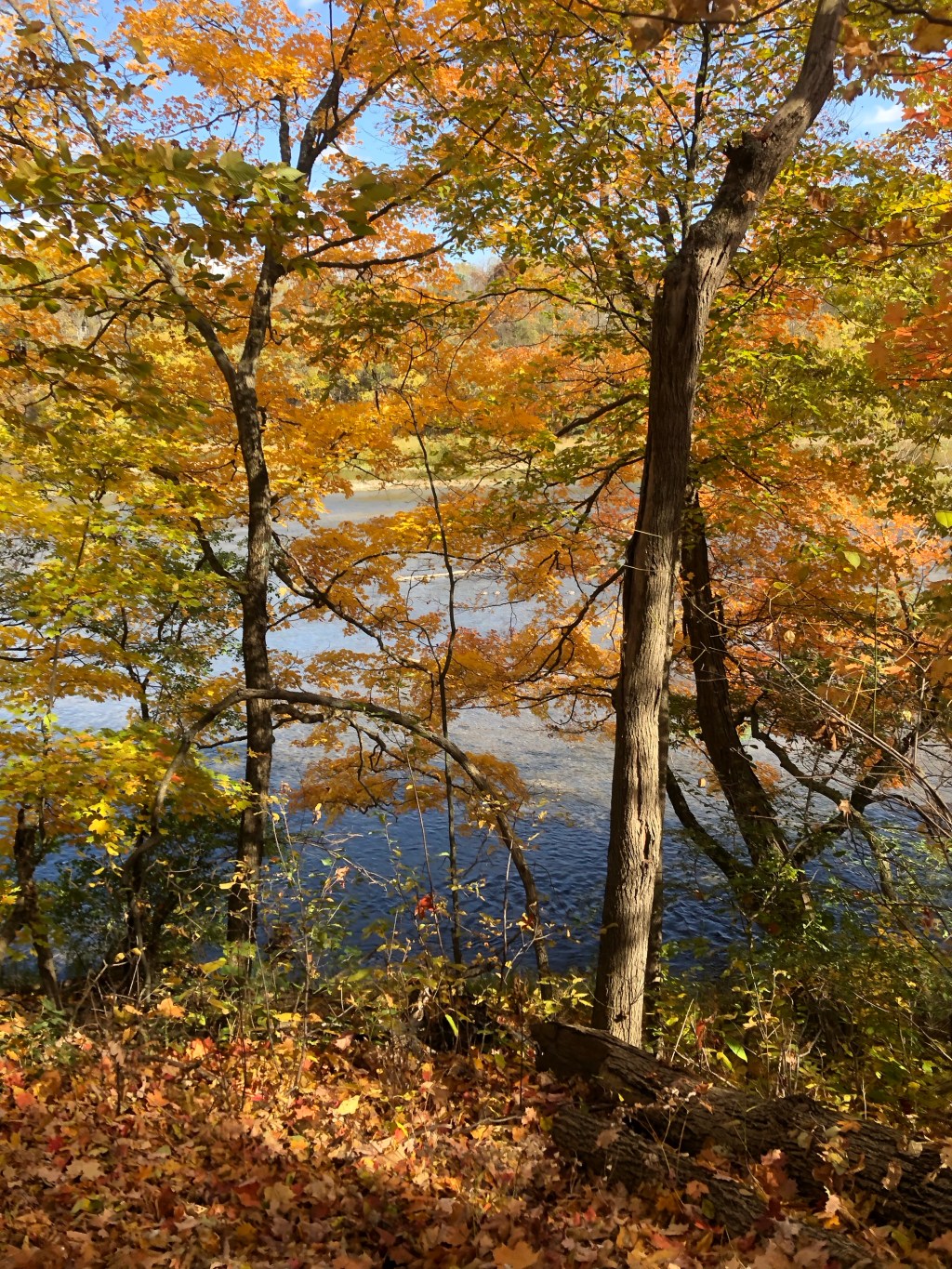 A moment of&nbsp;balance