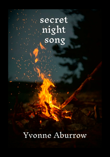 Secret night song – new poetry&nbsp;book