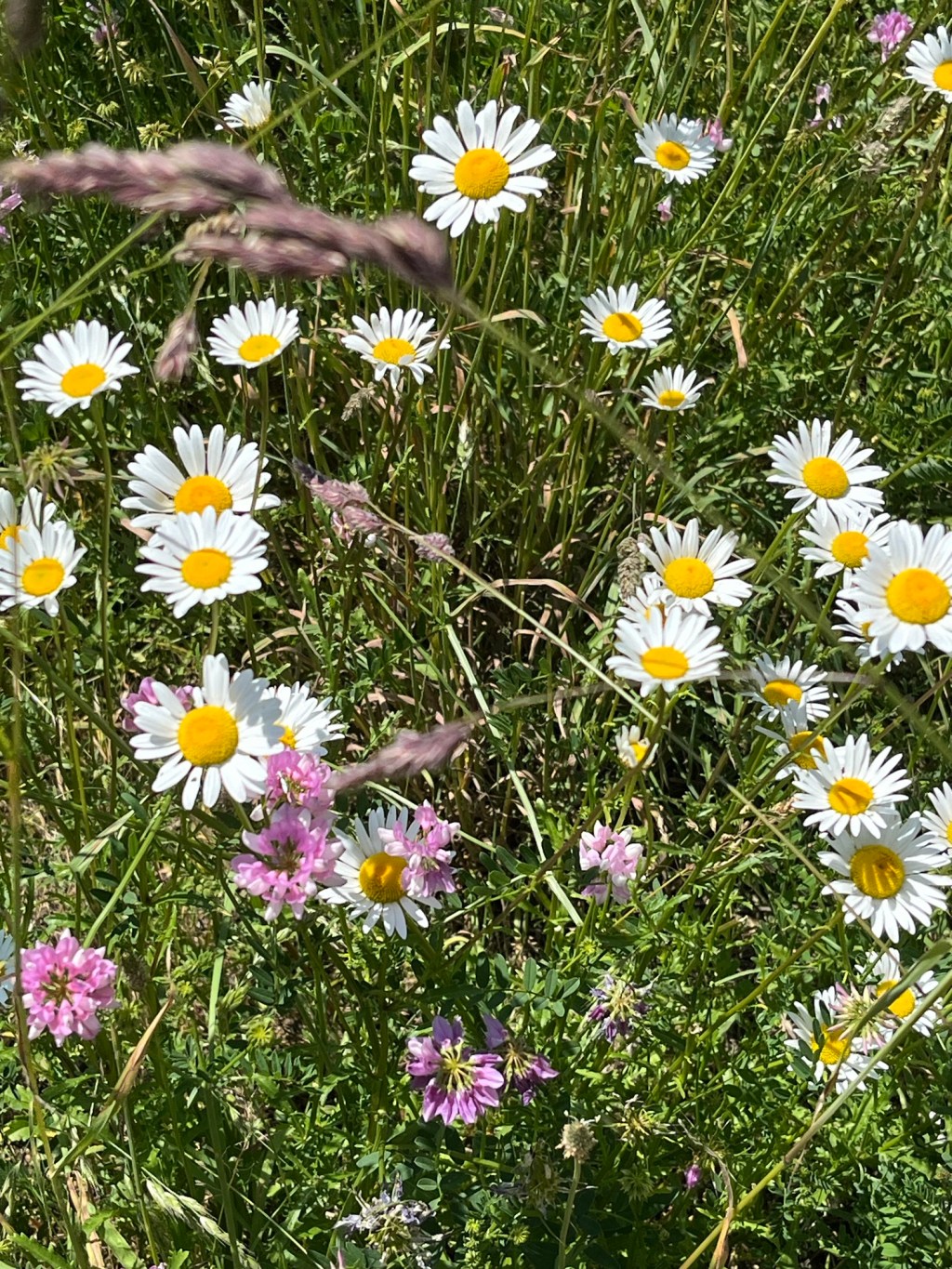 Changing Paths posts