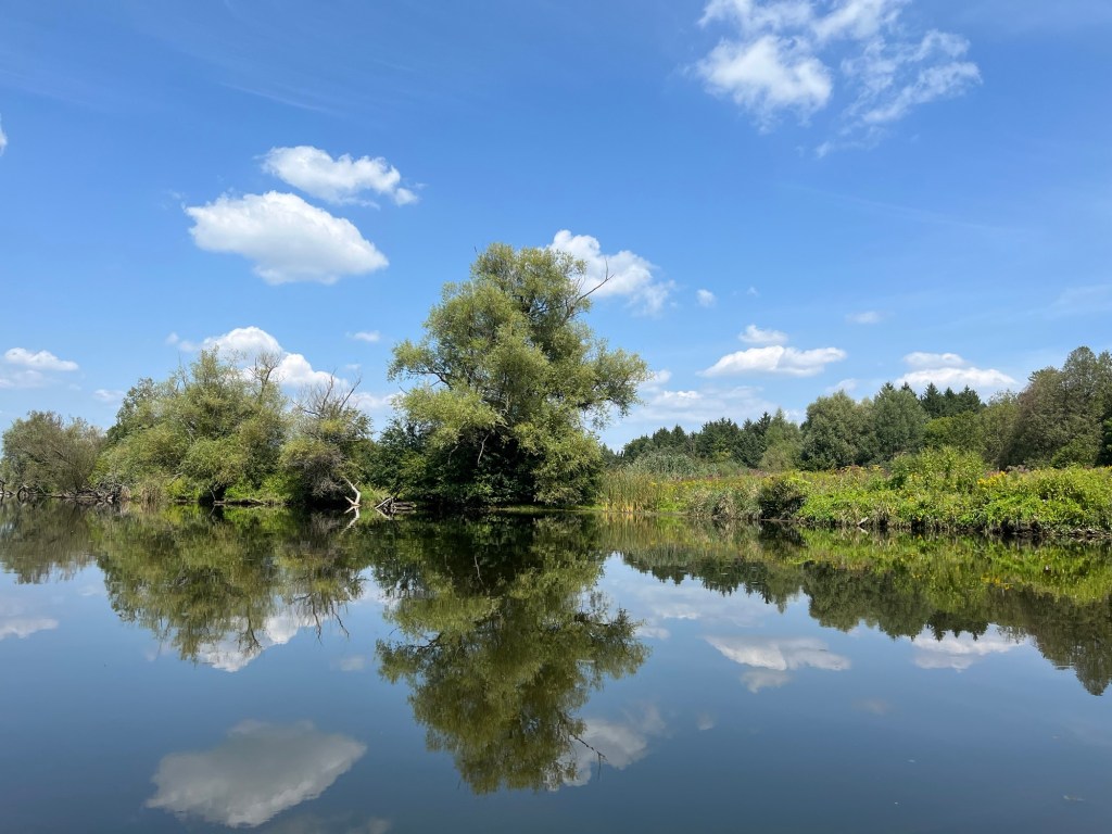 Books I’ve read so far this&nbsp;year