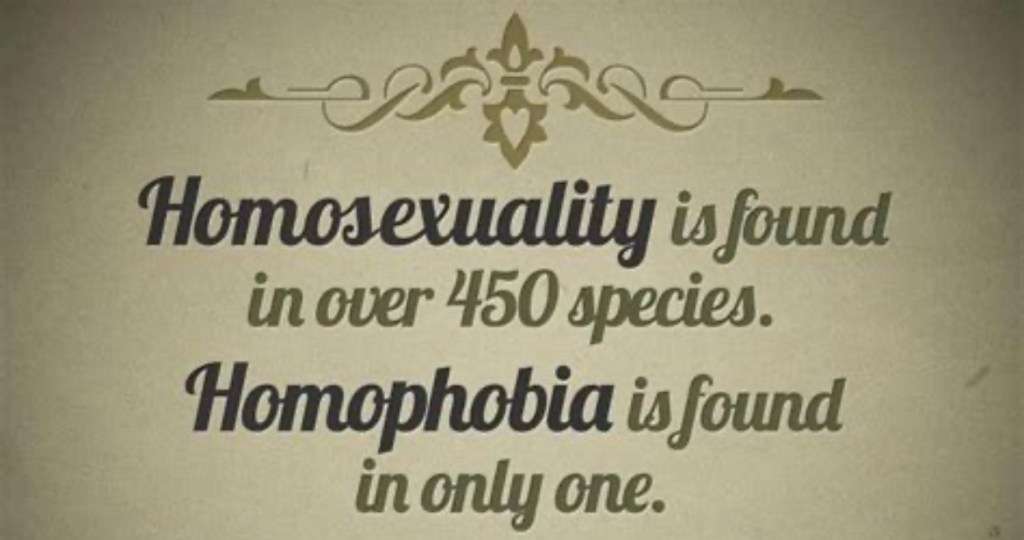 Homosexuality is found in over 450 species.
Homophobia is found in only one.
