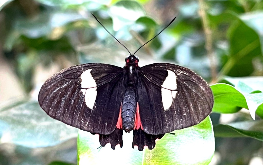 It’s cold outside…